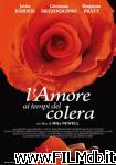 poster del film l'amore ai tempi del colera