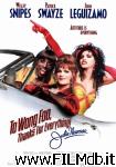 poster del film a wong foo, grazie di tutto! julie newmar