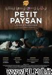 poster del film Petit paysan