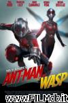 poster del film ant-man and the wasp