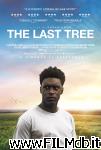 poster del film The Last Tree