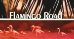 logo serie-tv Flamingo Road