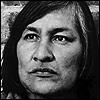 Will Sampson