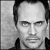 Todd Stashwick