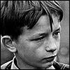 David Bradley (1953) David Bradley (1953)
