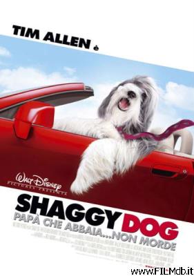 Locandina del film shaggy dog - papà che abbaia non morde