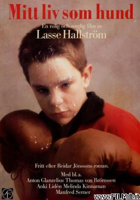 poster Cartel de la pelicula mit liv som bund