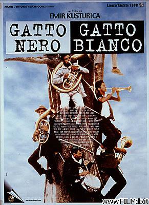 Affiche de film gatto nero, gatto bianco