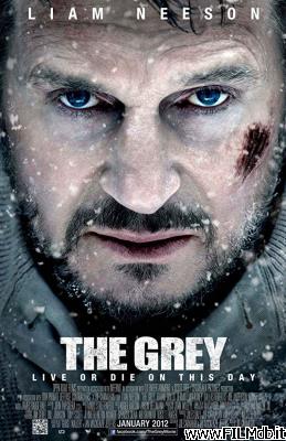Affiche de film the grey