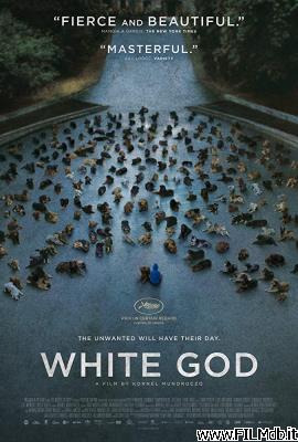 poster Poster of movie White God