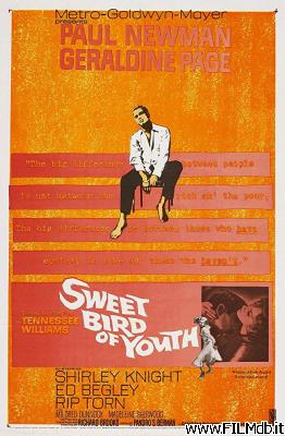 Poster of movie sweet bird of youth