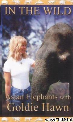 Cartel de la pelicula The Elephants of India with Goldie Hawn [filmTV]
