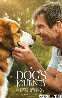 Poster of movie a dog's journey