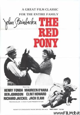 Cartel de la pelicula The Red Pony [filmTV]