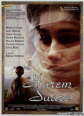 Locandina del film Harem suare