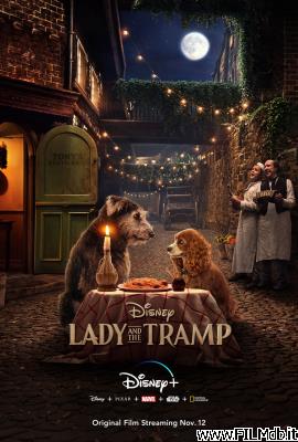 Affiche de film Lady and the Tramp