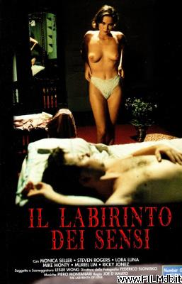 poster Cartel de la pelicula il labirinto dei sensi
