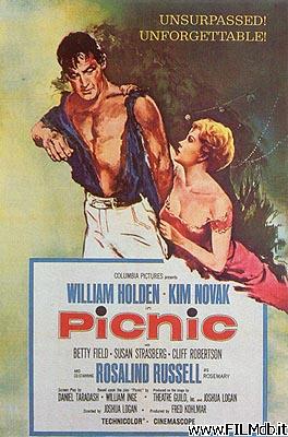 Poster of movie picnic