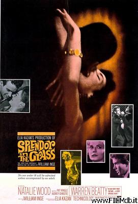 Poster of movie splendor in the grass