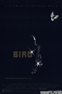 Cartel de la pelicula bird