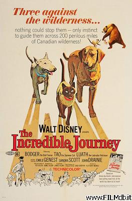 Poster of movie the incredible journey