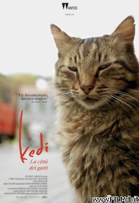 poster Cartel de la pelicula kedi - la città dei gatti