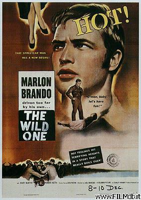 Poster of movie the wild one