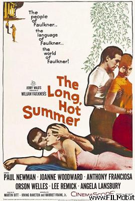 Locandina del film la lunga estate calda