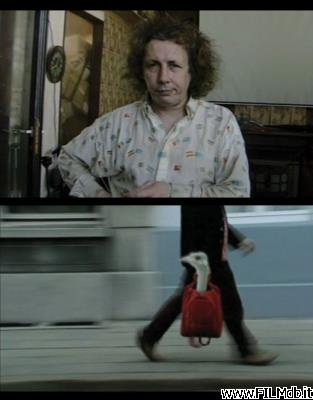 Affiche de film Panamarenko, portrait en son absence [corto]