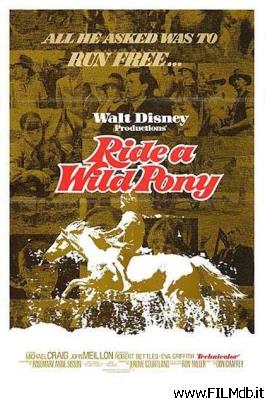 Affiche de film a cavallo di un pony selvaggio