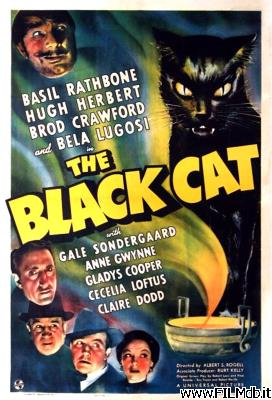 Affiche de film Le Chat noir