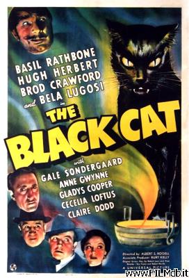 poster Cartel de la pelicula El gato negro