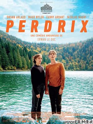 Cartel de la pelicula Perdrix