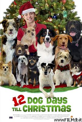 Affiche de film 12 cani sotto l'albero