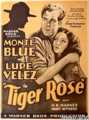 Locandina del film Rosa tigrata