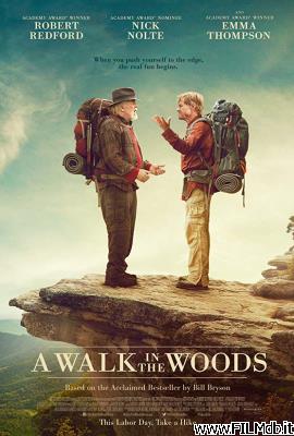 Poster of movie a walk in the woods