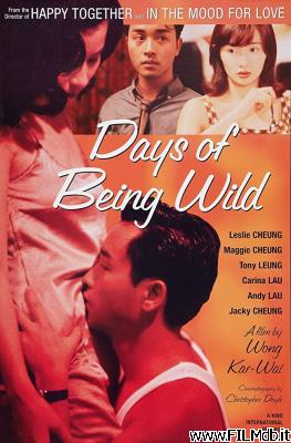 Cartel de la pelicula days of being wild