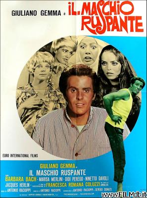 poster Poster of movie il maschio ruspante
