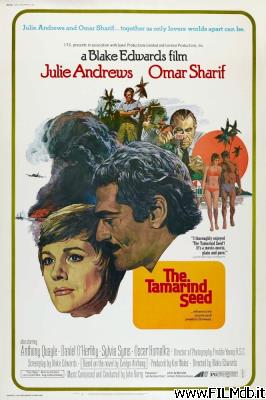 Affiche de film Il seme del tamarindo