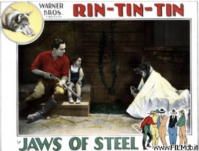 Poster of movie Jaws of Steel