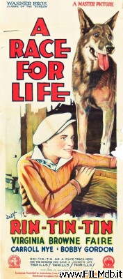 Poster of movie A Race for Life
