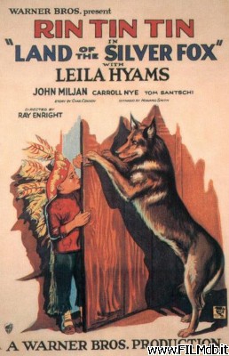 Poster of movie Land of the Silver Fox