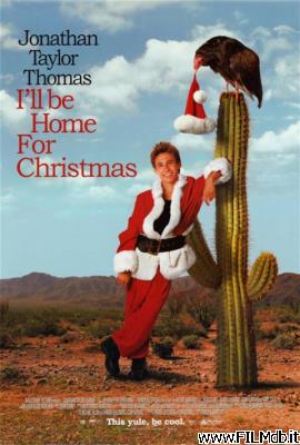 Poster of movie i'll be home for christmas