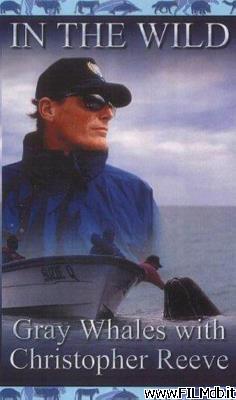 Locandina del film Gray Whales with Christopher Reeve [filmTV]