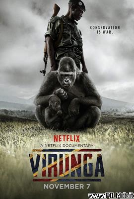 poster Affiche de film virunga