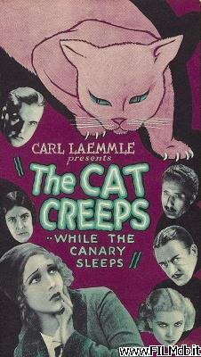 Locandina del film The Cat Creeps