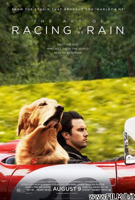 poster Affiche de film The Art of Racing in the Rain
