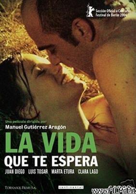 poster Locandina del film La vita che ti aspetti