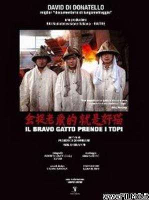 poster Cartel de la pelicula Il bravo gatto prende i topi