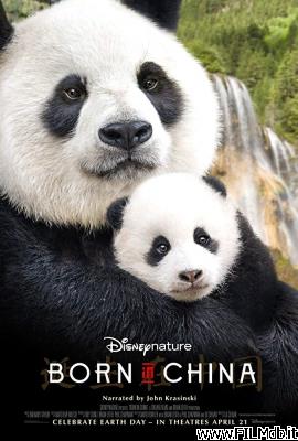 Affiche de film born in china